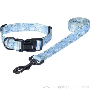 Collar Leash Set Custom Pattern Designer Dog Collars